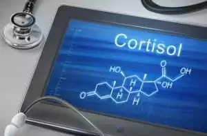 Il cortisolo è un'arma a doppio taglio, in particolare per uno sportivo. Scopri come e quando intervenire con la dieta per limitarne gli effetti negativi.