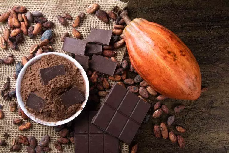 La risposta non è così scontata come sembra. Analizziamo le etichette di entrambi per capire che cioccolato fondente e al latte possono essere simili o molto diversi.